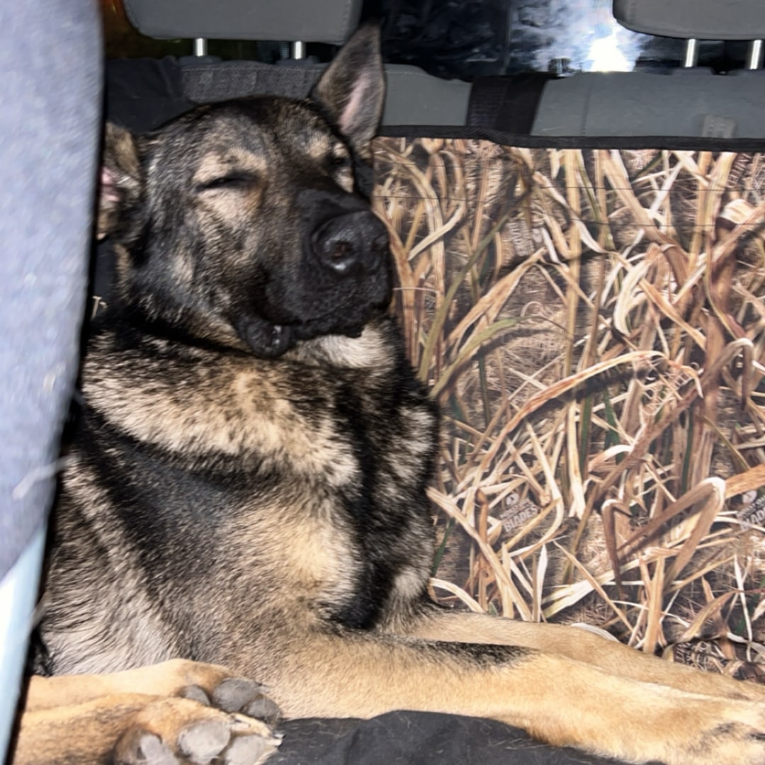 Photo shared by Hannah for their Babylist baby registry.