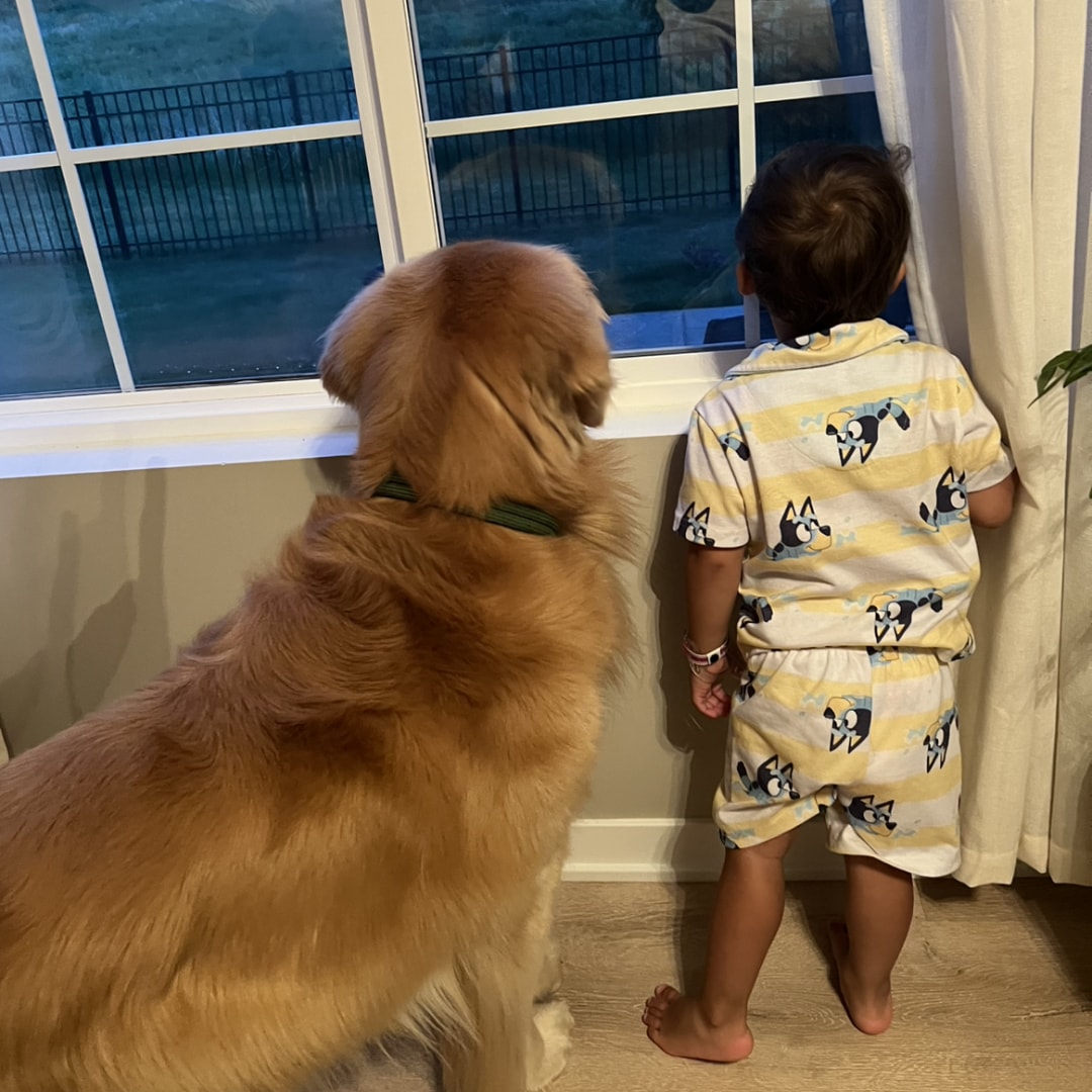 Photo shared by Reena for their Babylist baby registry.