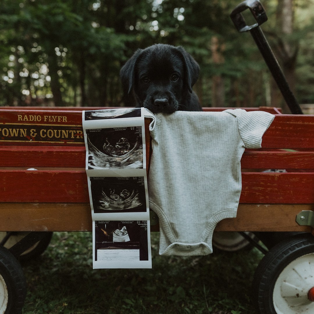 Photo shared by Shannon for their Babylist baby registry.