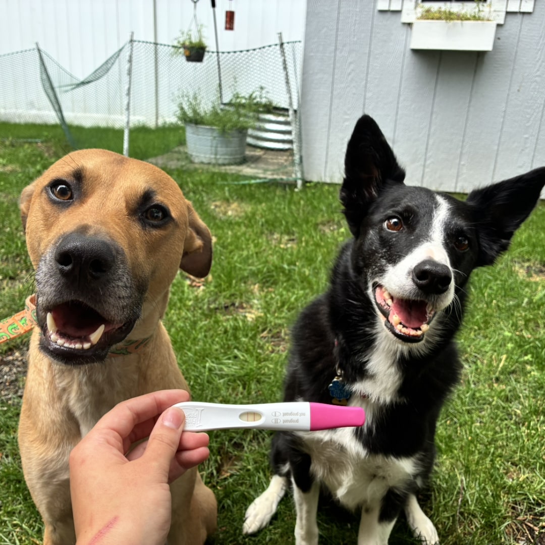 Photo shared by Sarah for their Babylist baby registry.