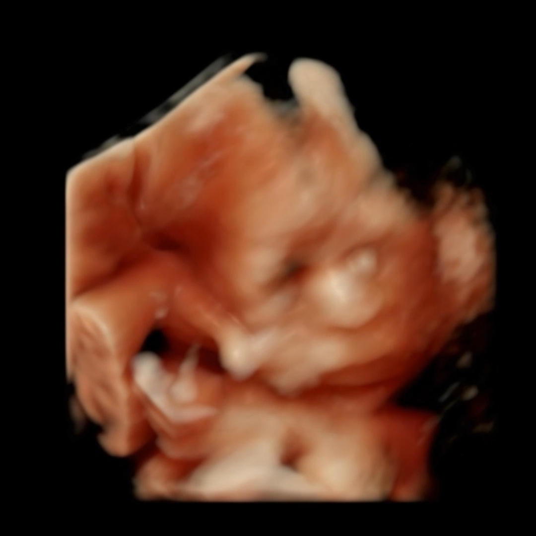 Photo shared by Reyna for their Babylist baby registry.