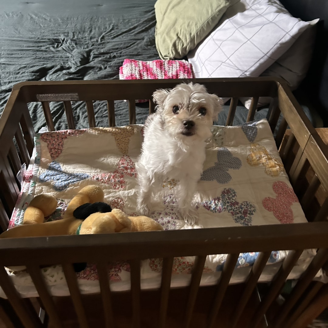 Photo shared by Elizabeth Homola for their Babylist baby registry.