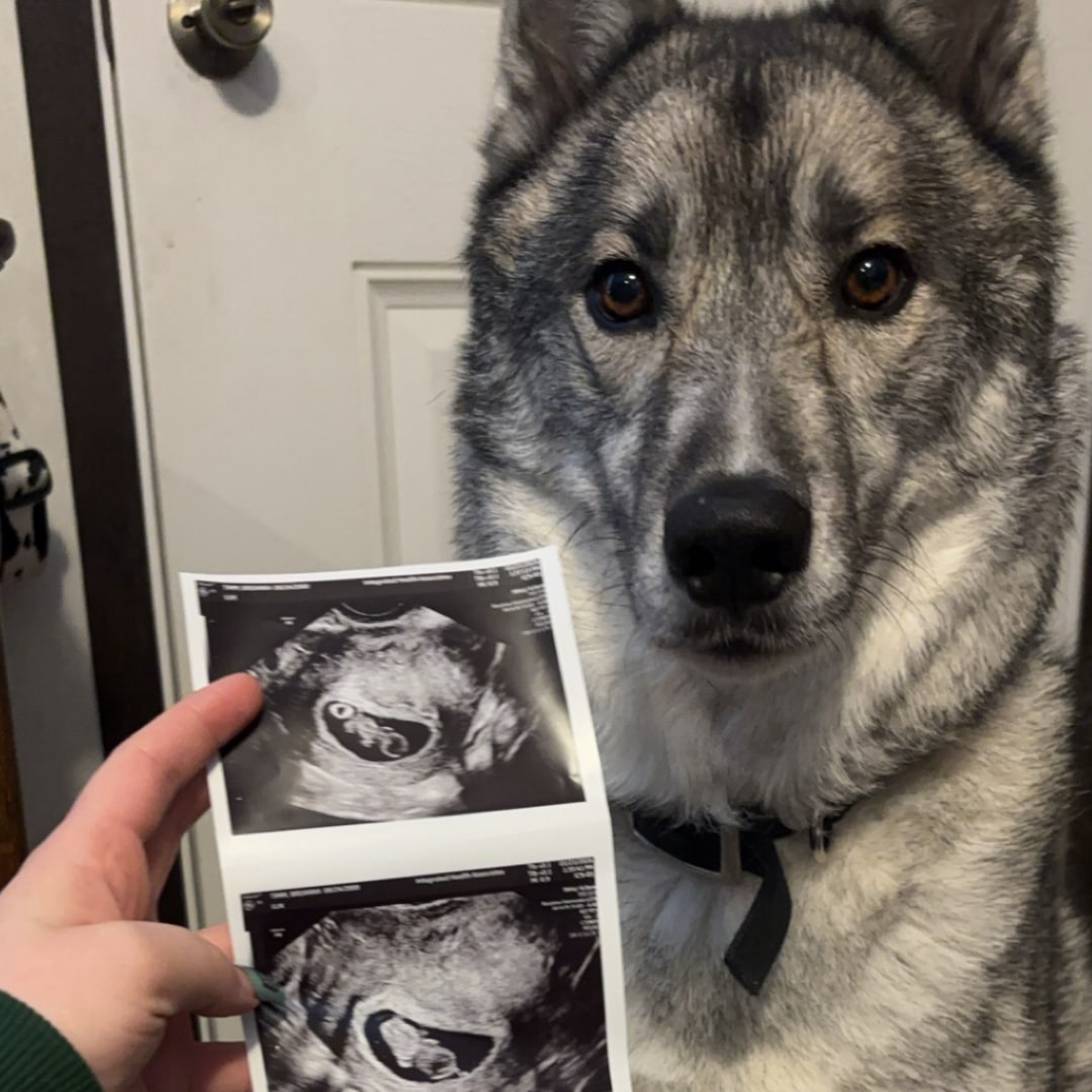 Photo shared by Breanna for their Babylist baby registry.