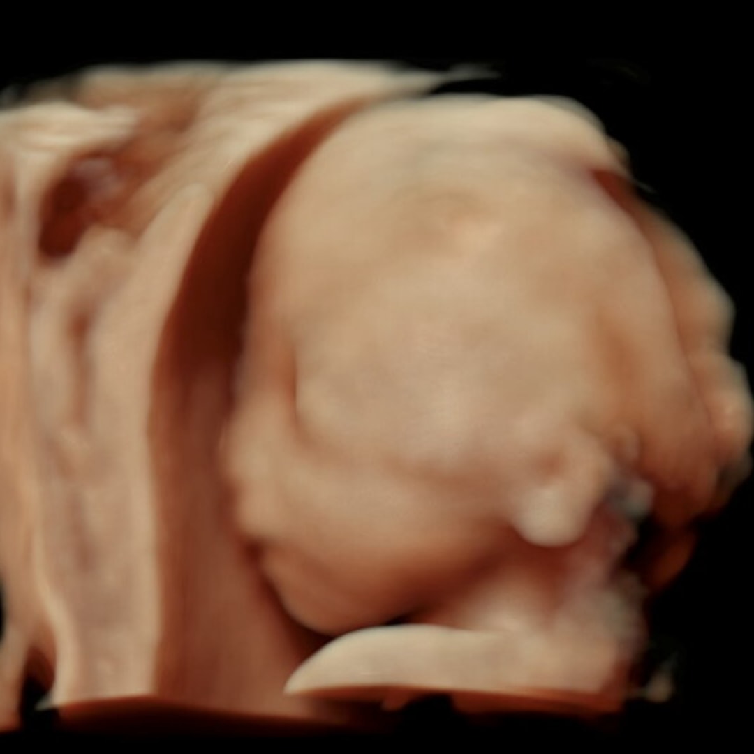 Photo shared by Ashley for their Babylist baby registry.