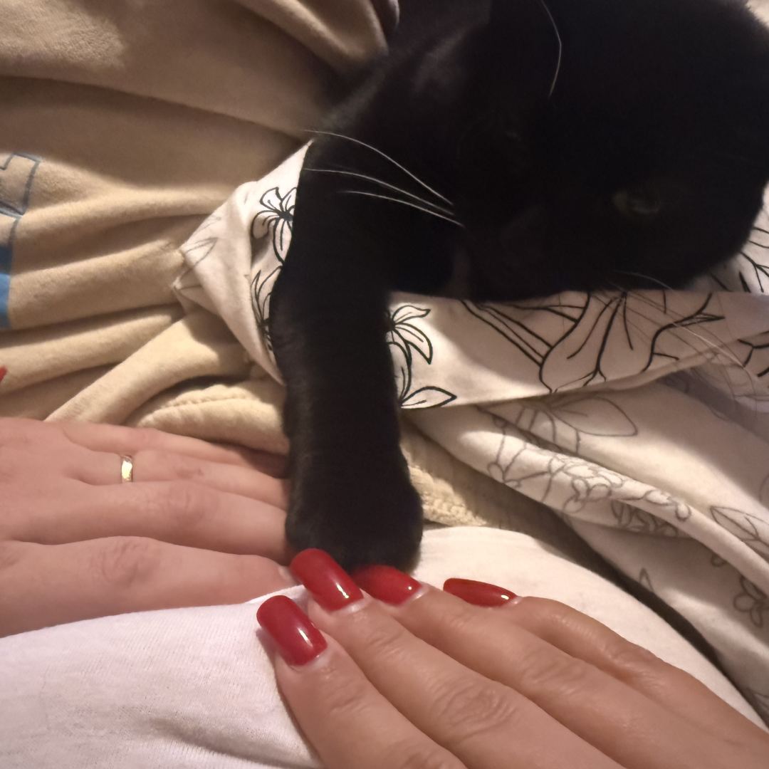 Photo shared by Brenda for their Babylist baby registry.