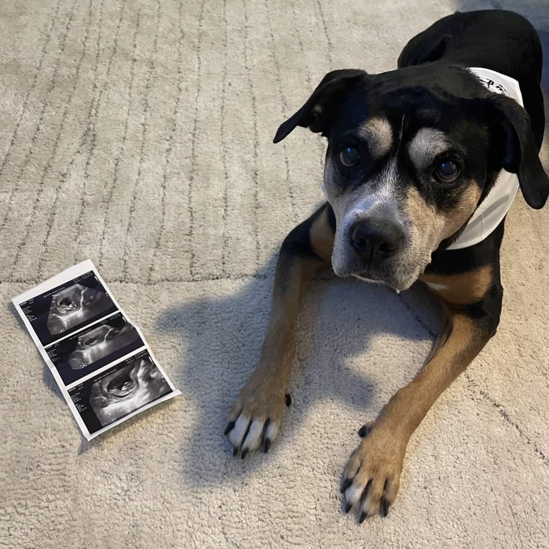 Photo shared by Samantha for their Babylist baby registry.