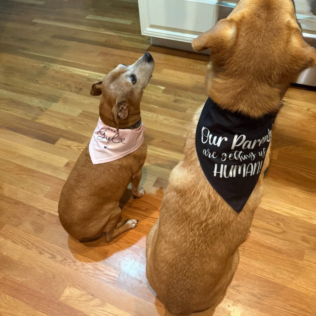 Photo shared by Jaclyn for their Babylist baby registry.