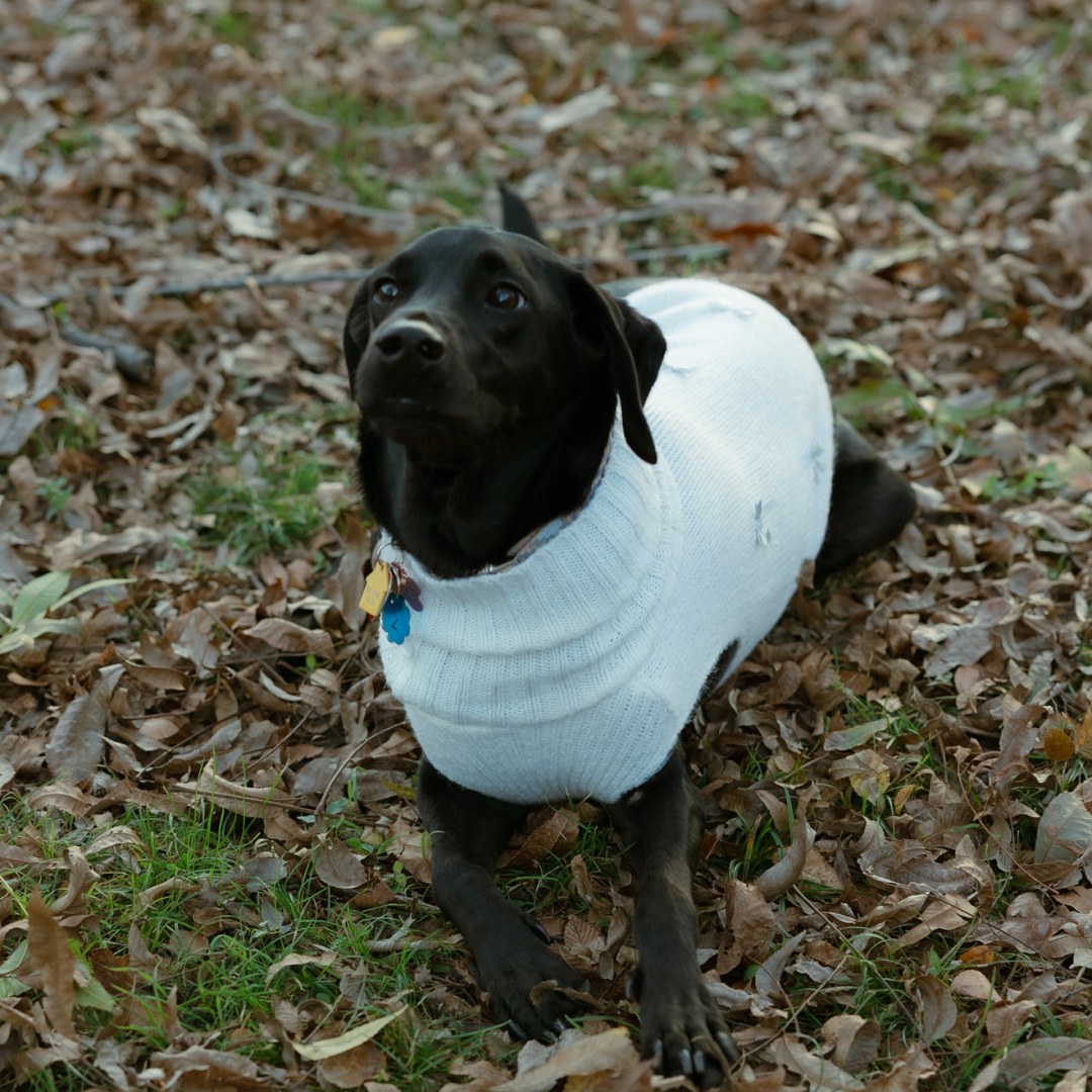 Photo shared by Christiana for their Babylist baby registry.