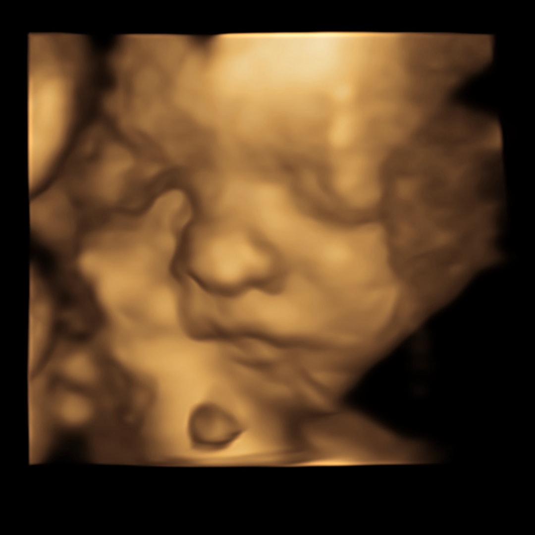 Photo shared by Aidenn for their Babylist baby registry.