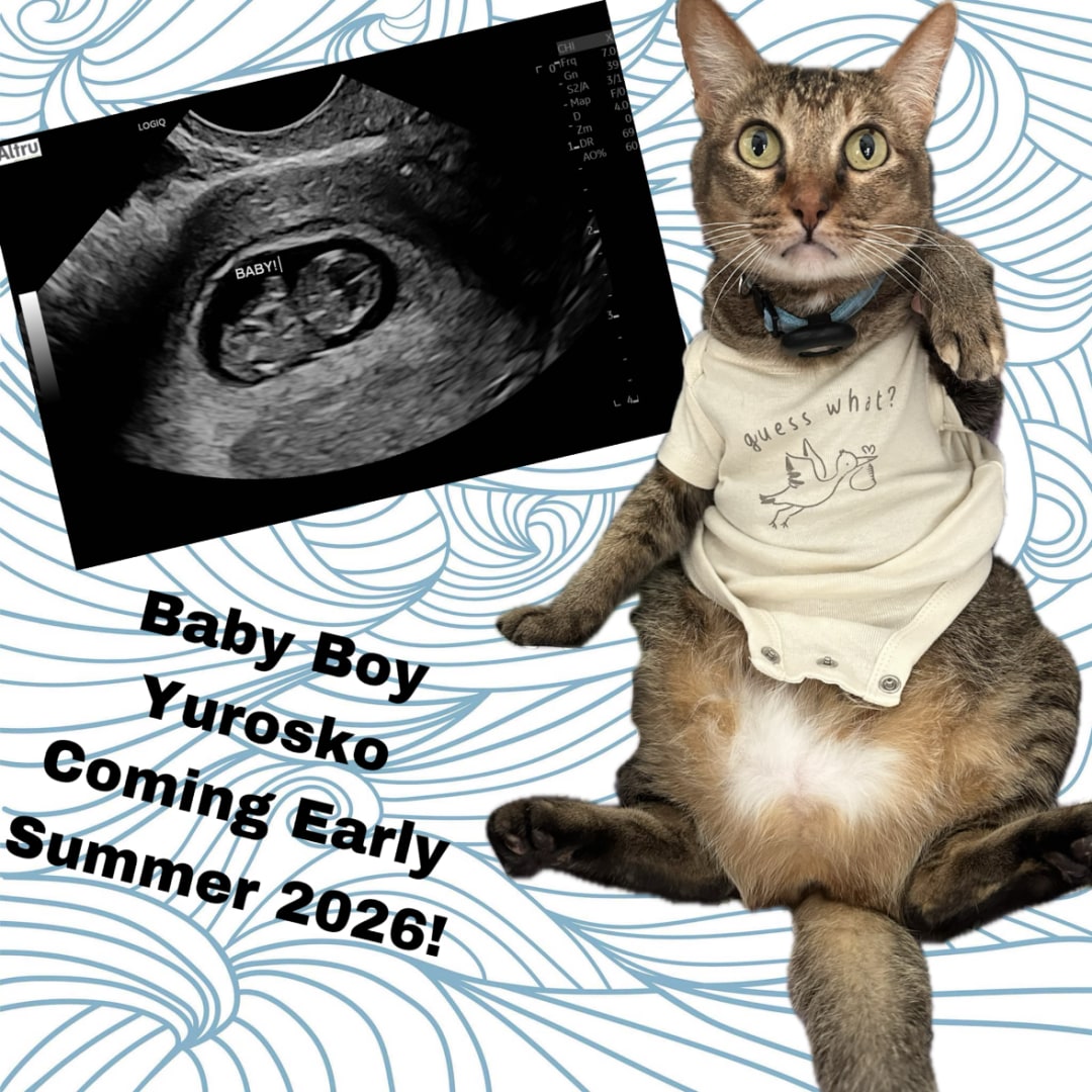 Photo shared by Sara for their Babylist baby registry.