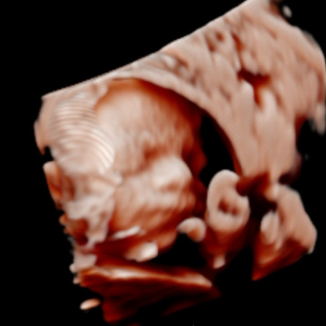 Photo shared by Hailey for their Babylist baby registry.