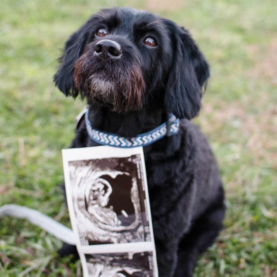 Photo shared by Claire for their Babylist baby registry.