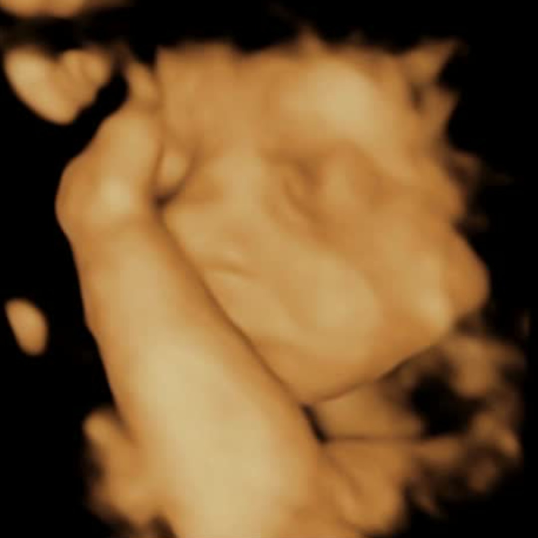 Photo shared by Hannah for their Babylist baby registry.