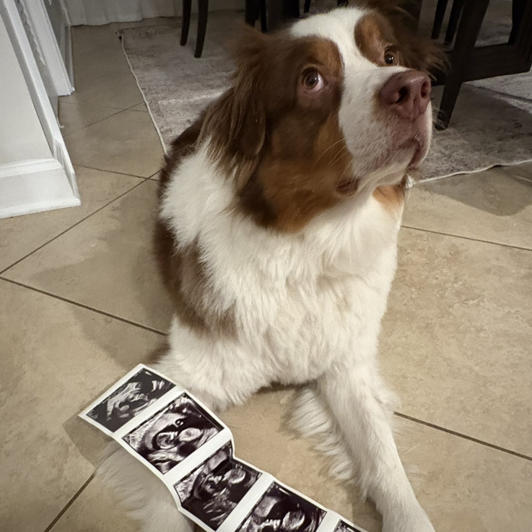 Photo shared by Meagan for their Babylist baby registry.