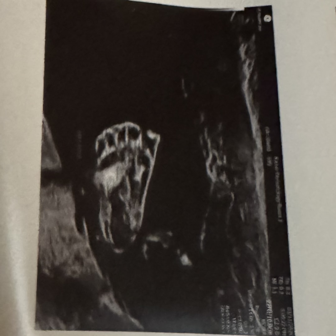 Photo shared by Kelly for their Babylist baby registry.