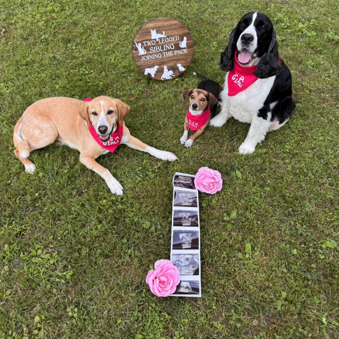 Photo shared by Meaghan for their Babylist baby registry.