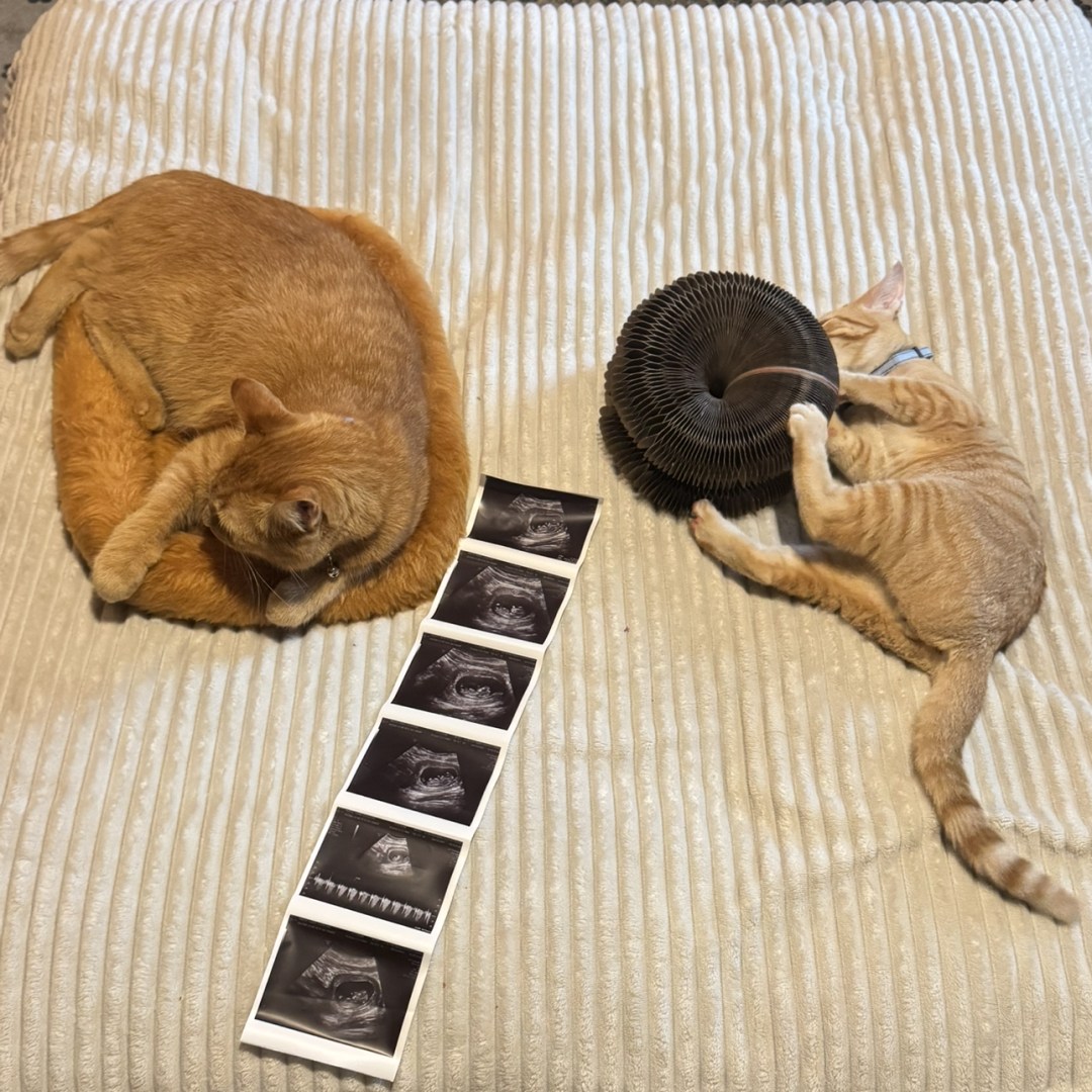 Photo shared by Farah for their Babylist baby registry.