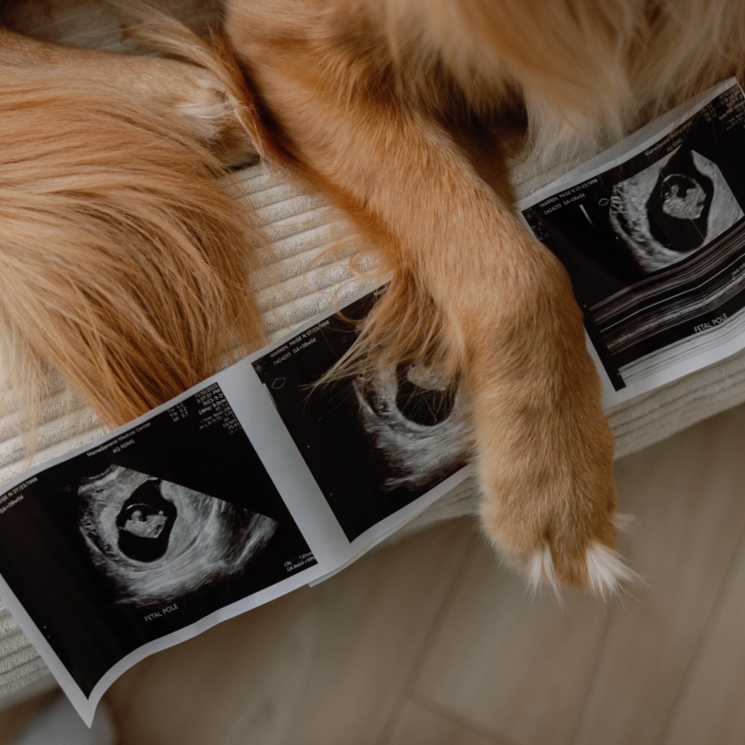 Photo shared by Paige for their Babylist baby registry.