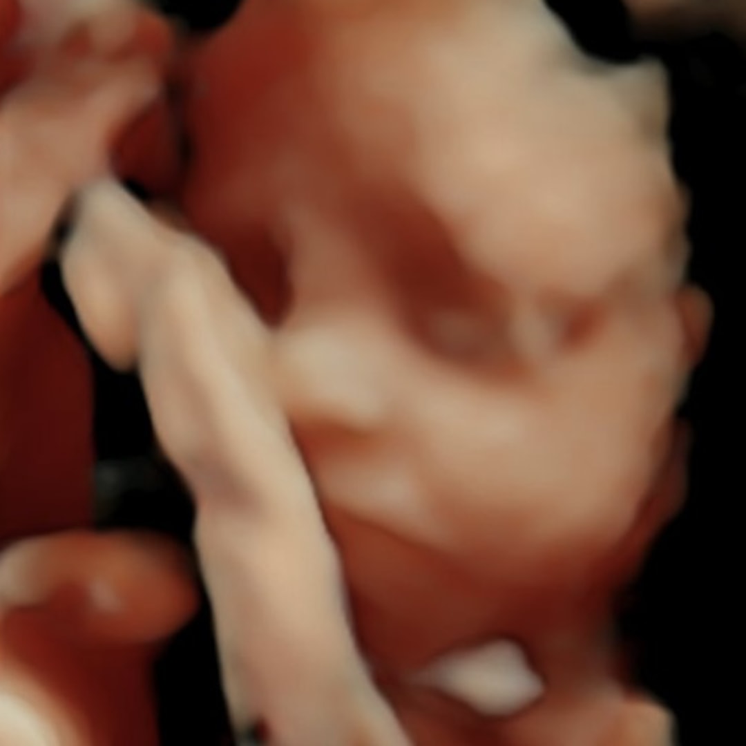 Photo shared by Shara for their Babylist baby registry.