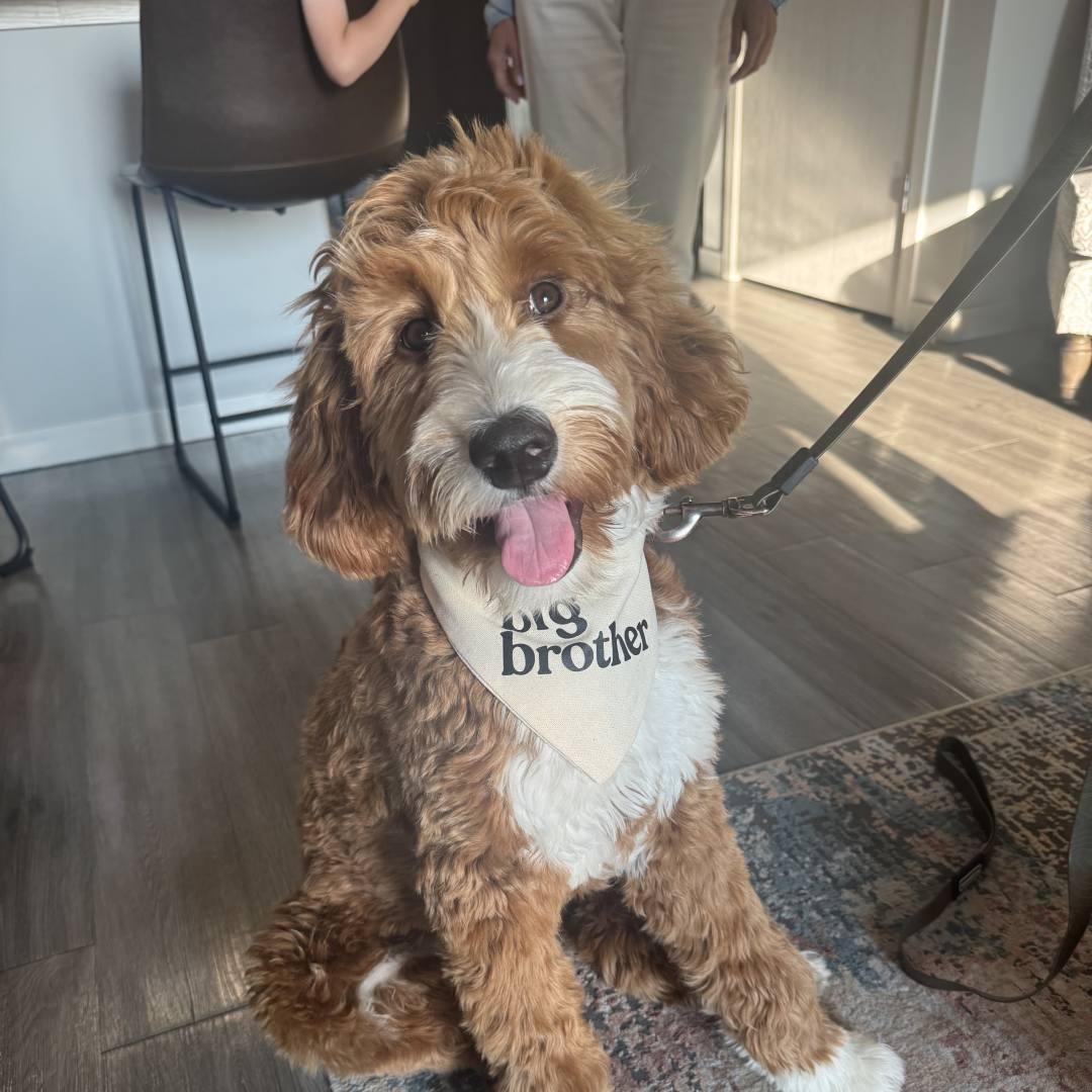 Photo shared by Megan for their Babylist baby registry.