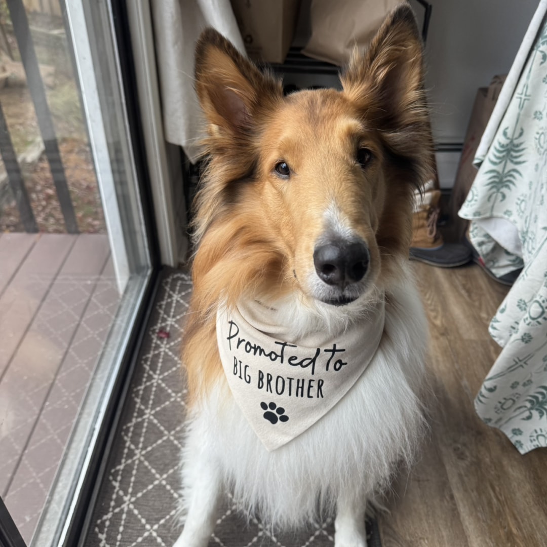 Photo shared by Erin for their Babylist baby registry.