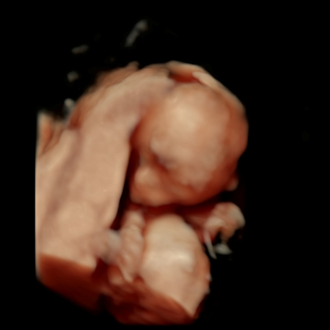 Photo shared by Ana for their Babylist baby registry.