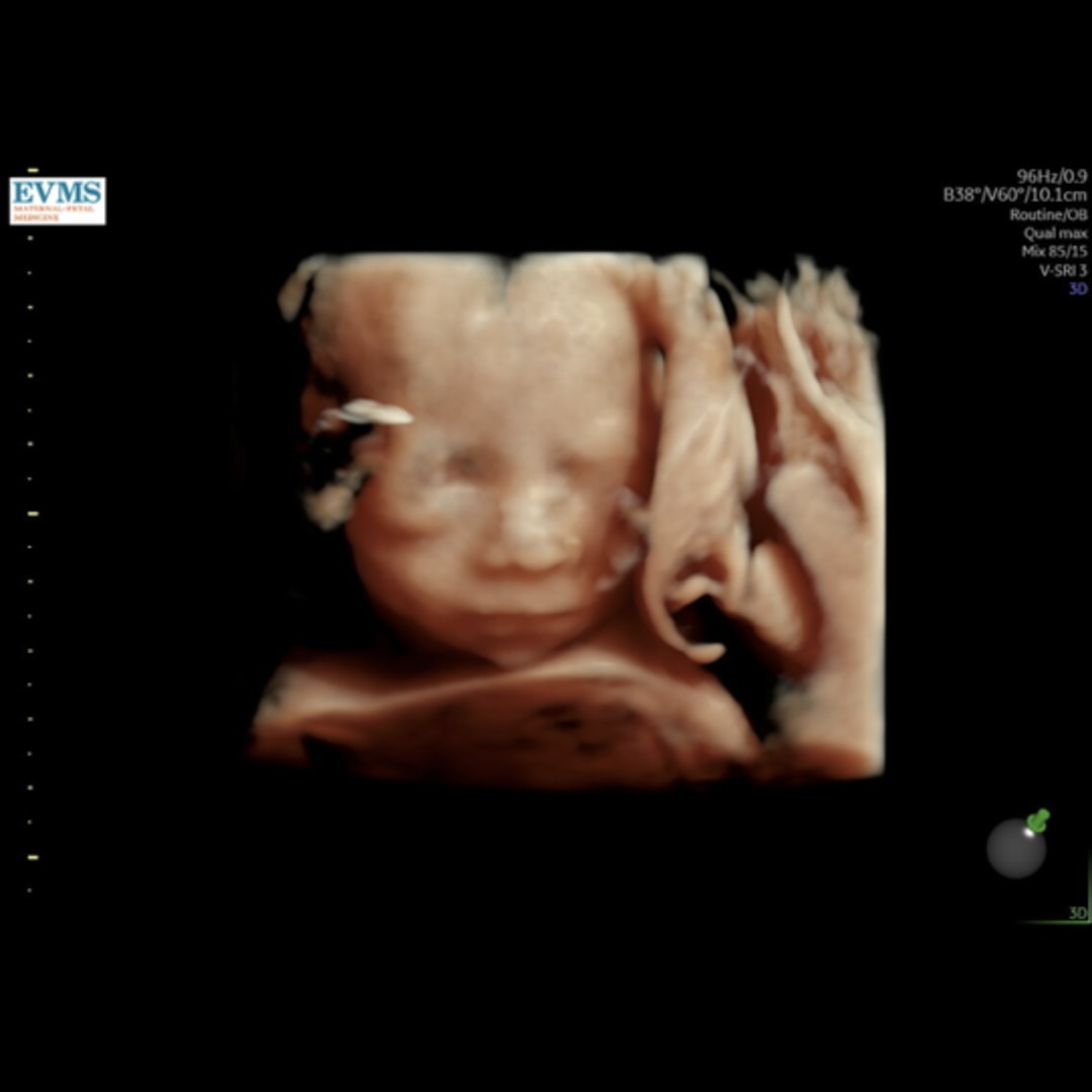 Photo shared by Camrin for their Babylist baby registry.