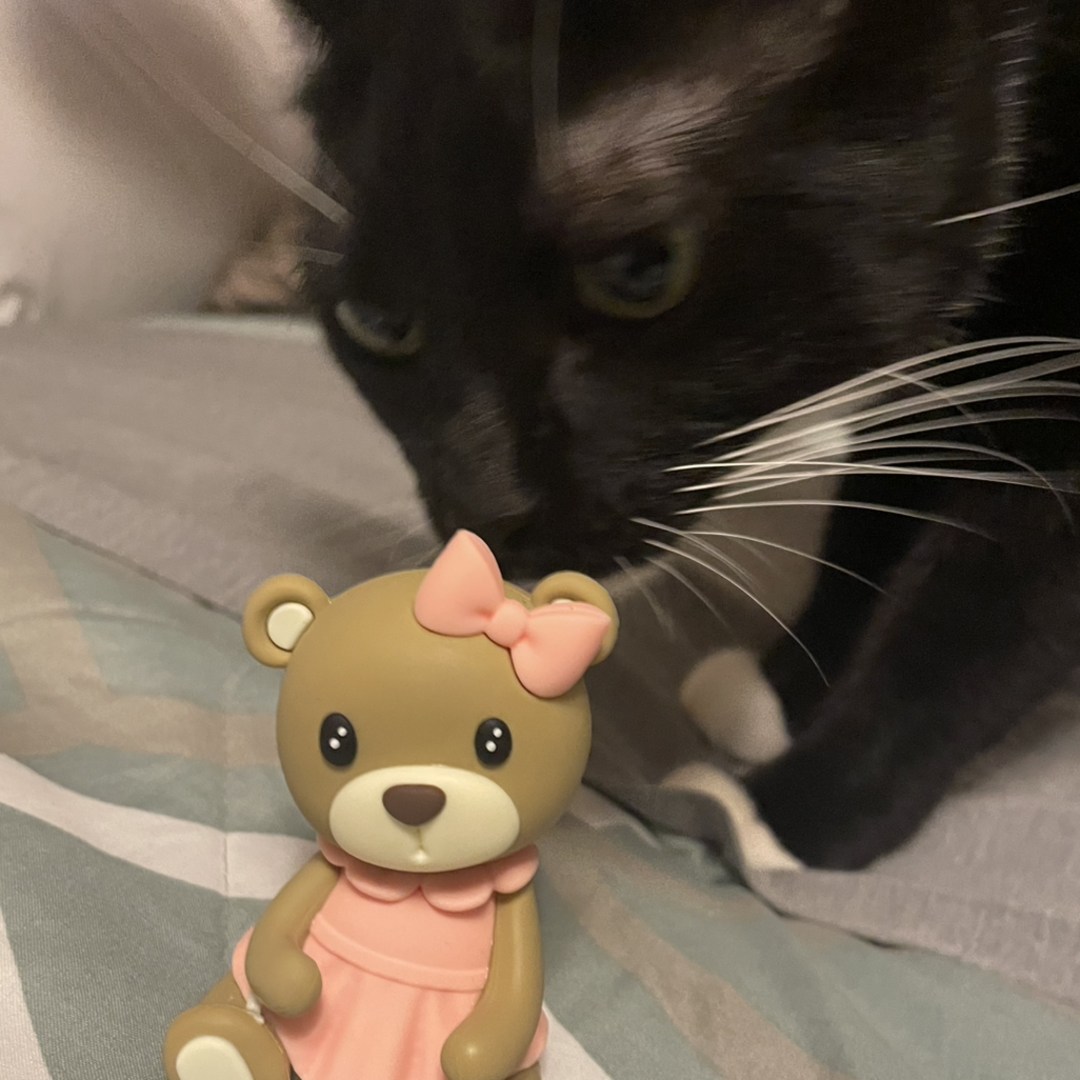 Photo shared by Estefania for their Babylist baby registry.