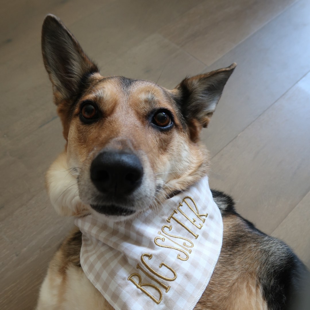 Photo shared by Courtney for their Babylist baby registry.