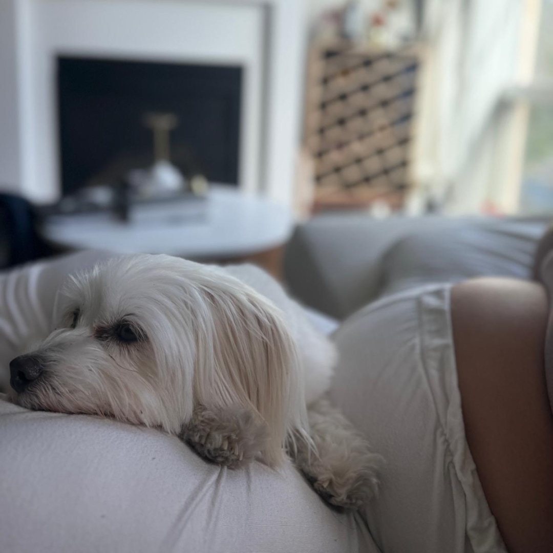 Photo shared by Maisa for their Babylist baby registry.