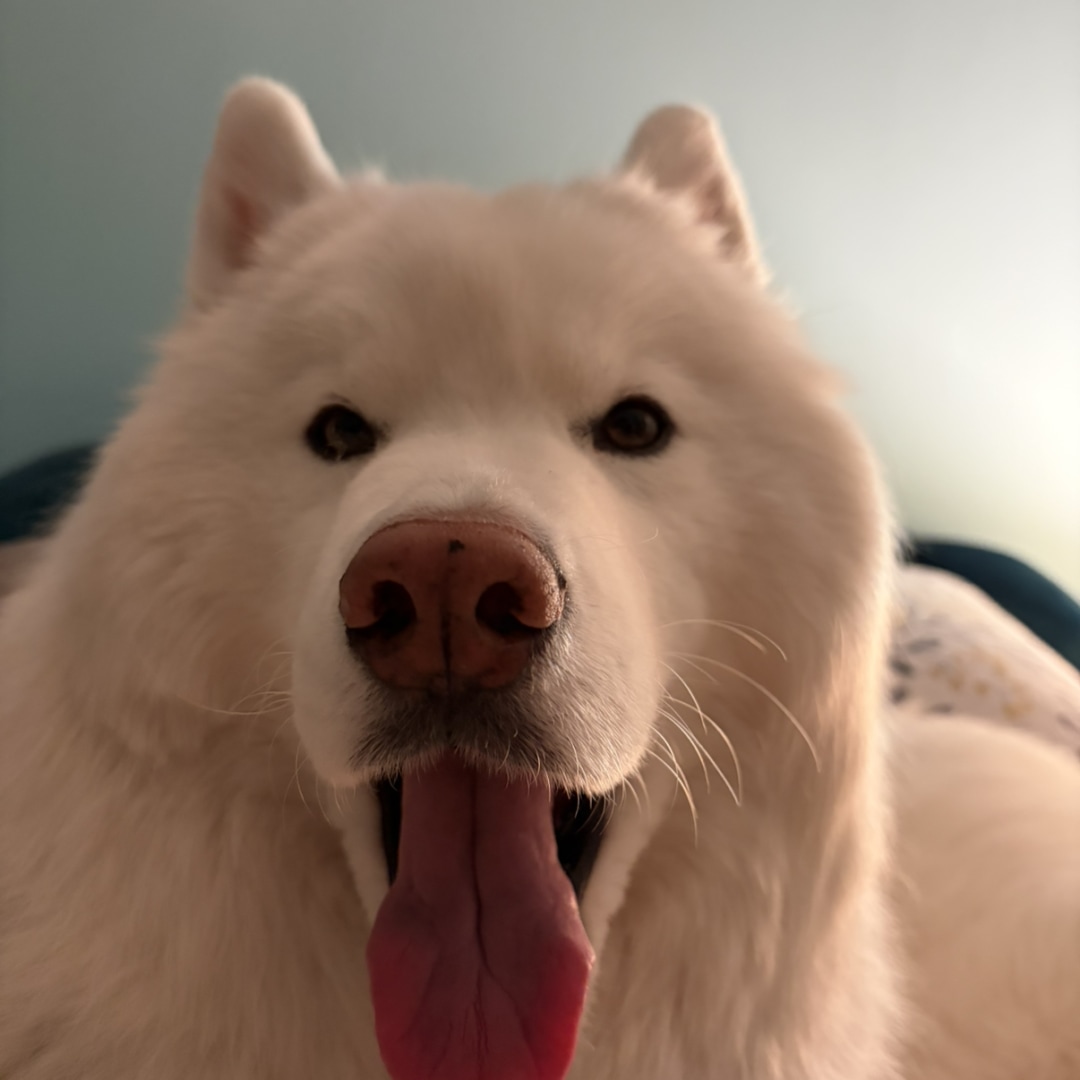 Photo shared by Erica for their Babylist baby registry.