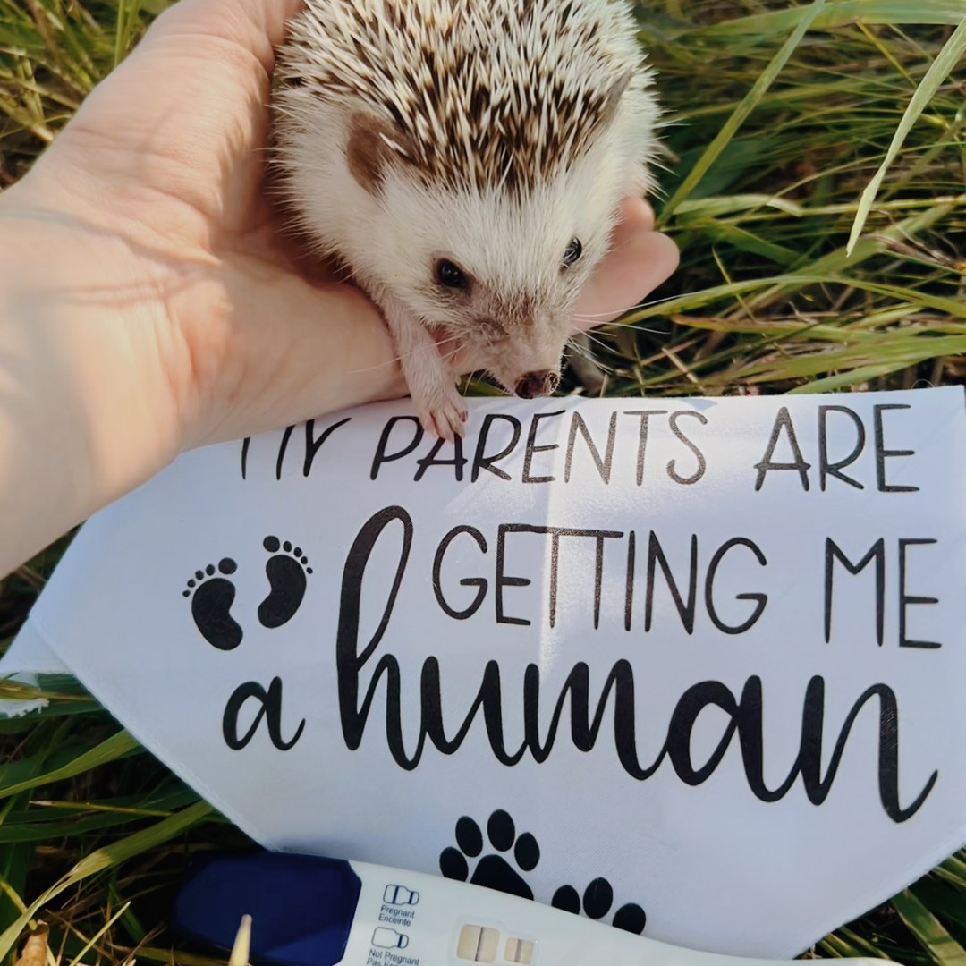 Photo shared by Karen for their Babylist baby registry.