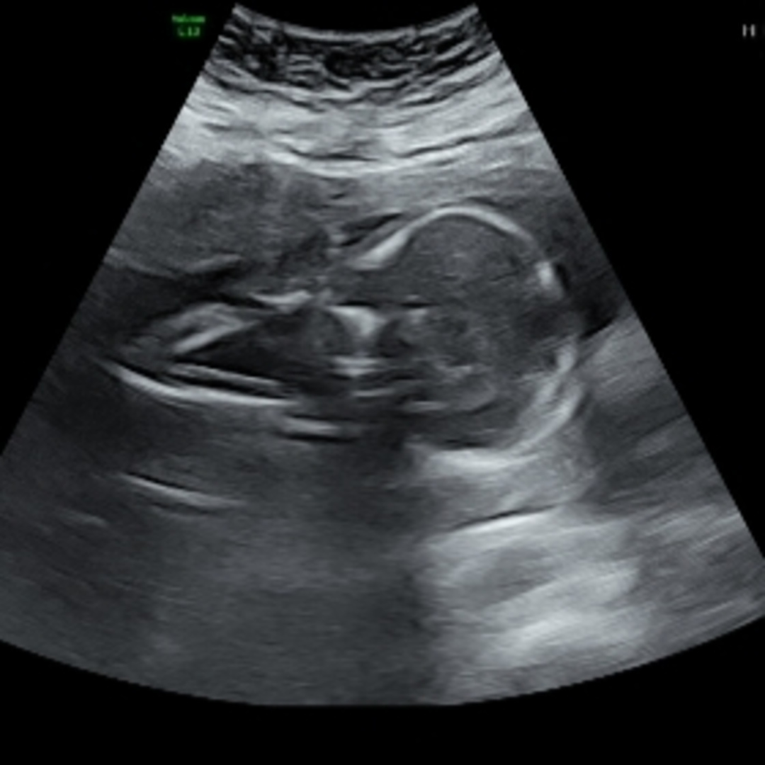 Photo shared by ESTRELLITA for their Babylist baby registry.