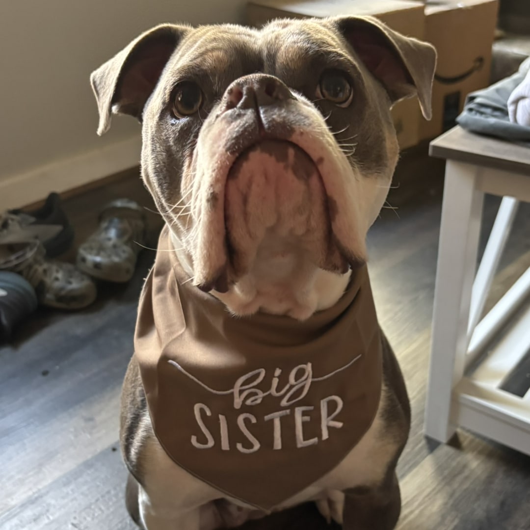 Photo shared by Jessie for their Babylist baby registry.