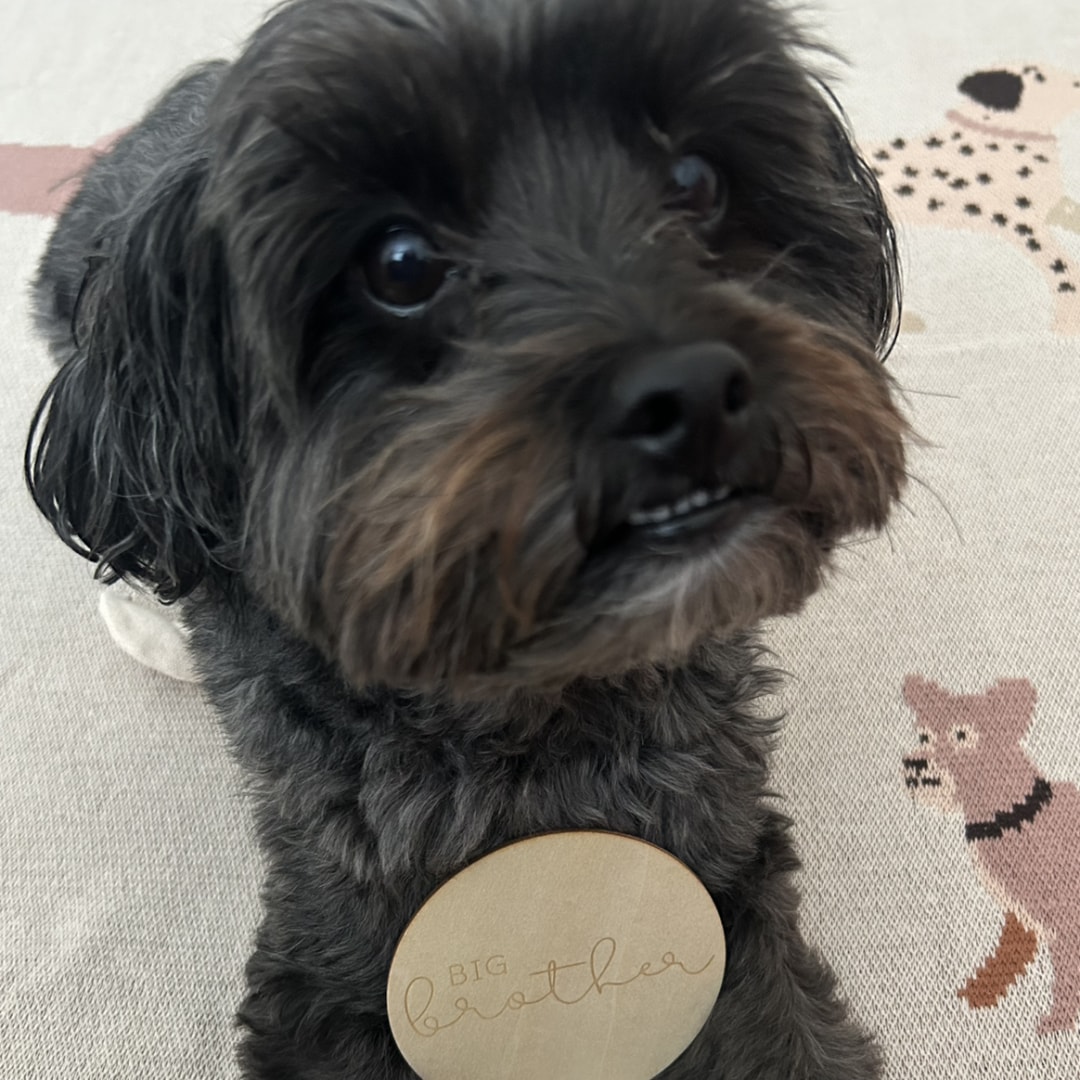 Photo shared by Elise for their Babylist baby registry.