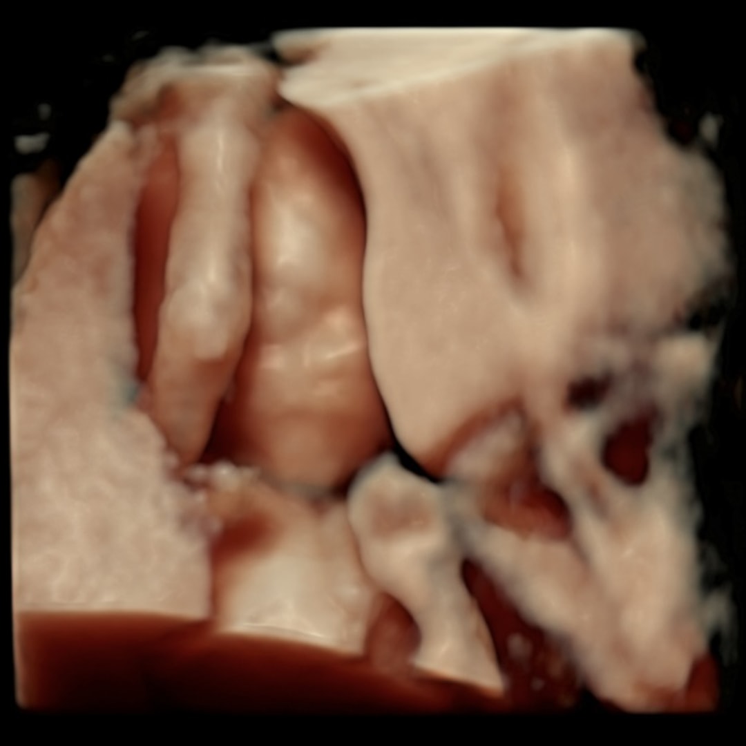 Photo shared by Cassandra for their Babylist baby registry.