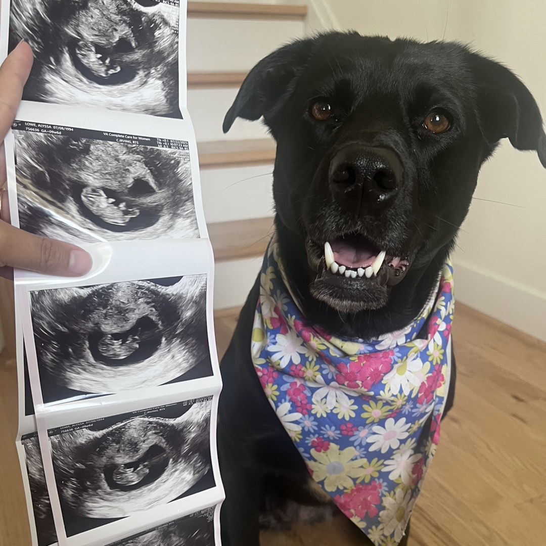 Photo shared by Alyssa for their Babylist baby registry.