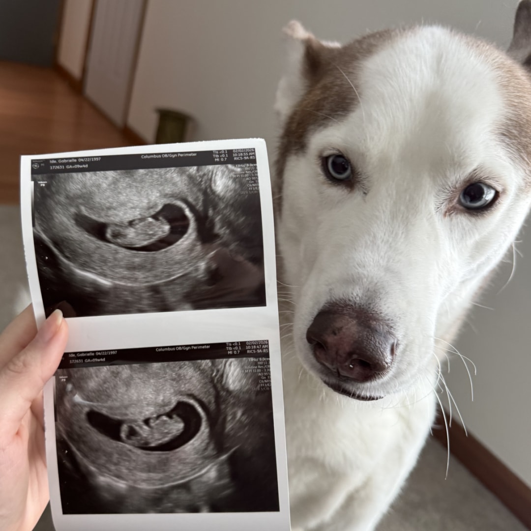 Photo shared by Gabby for their Babylist baby registry.