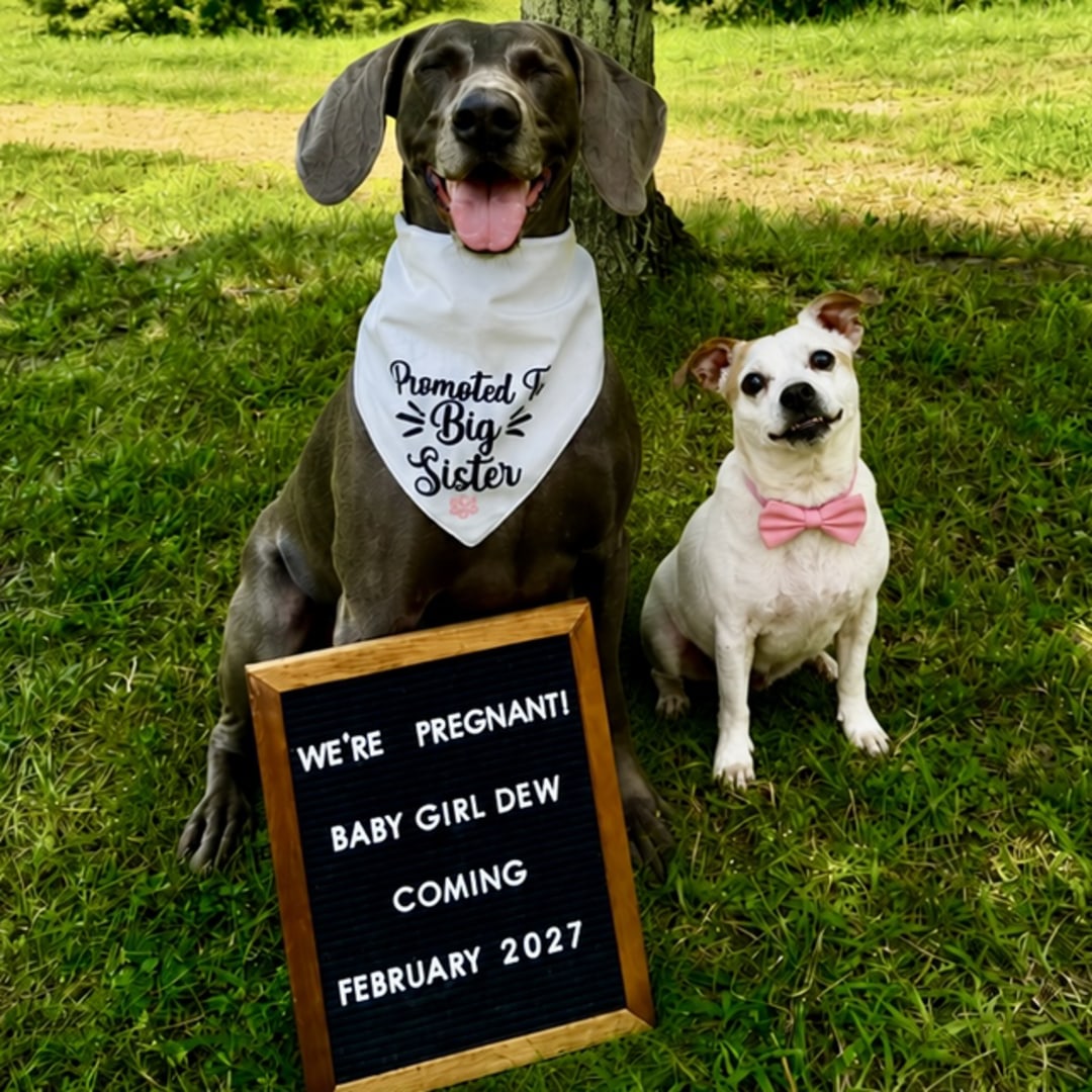 Photo shared by Audrey for their Babylist baby registry.