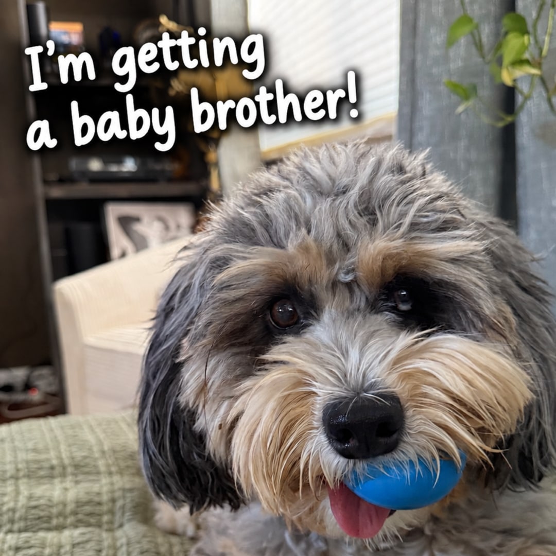 Photo shared by Mayra for their Babylist baby registry.