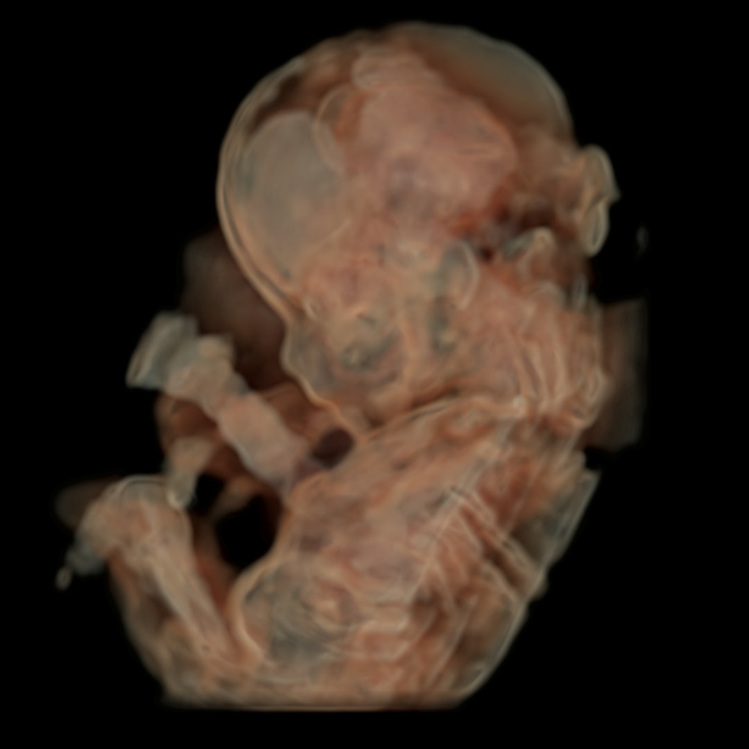 Photo shared by Brittney for their Babylist baby registry.