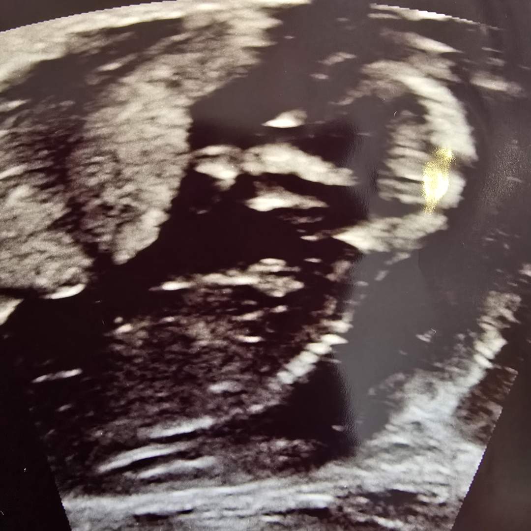 Photo shared by Deborah for their Babylist baby registry.