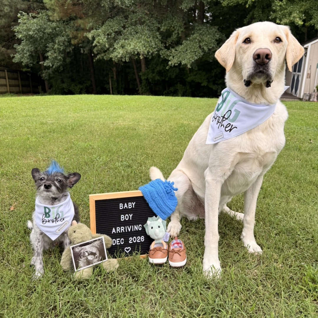 Photo shared by Emily for their Babylist baby registry.