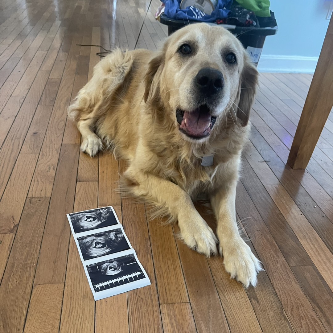 Photo shared by Marah for their Babylist baby registry.