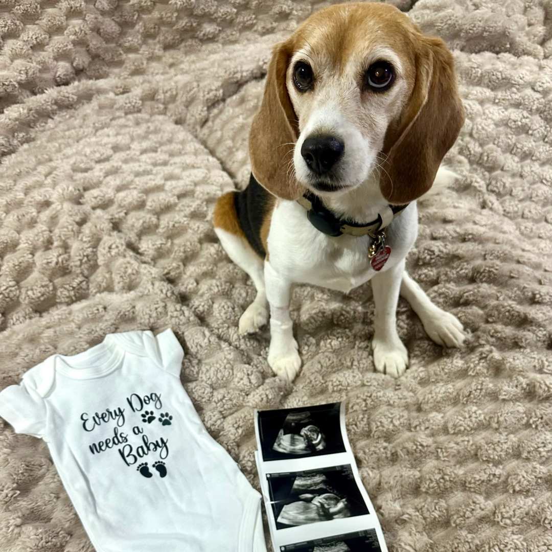 Photo shared by Lauren for their Babylist baby registry.