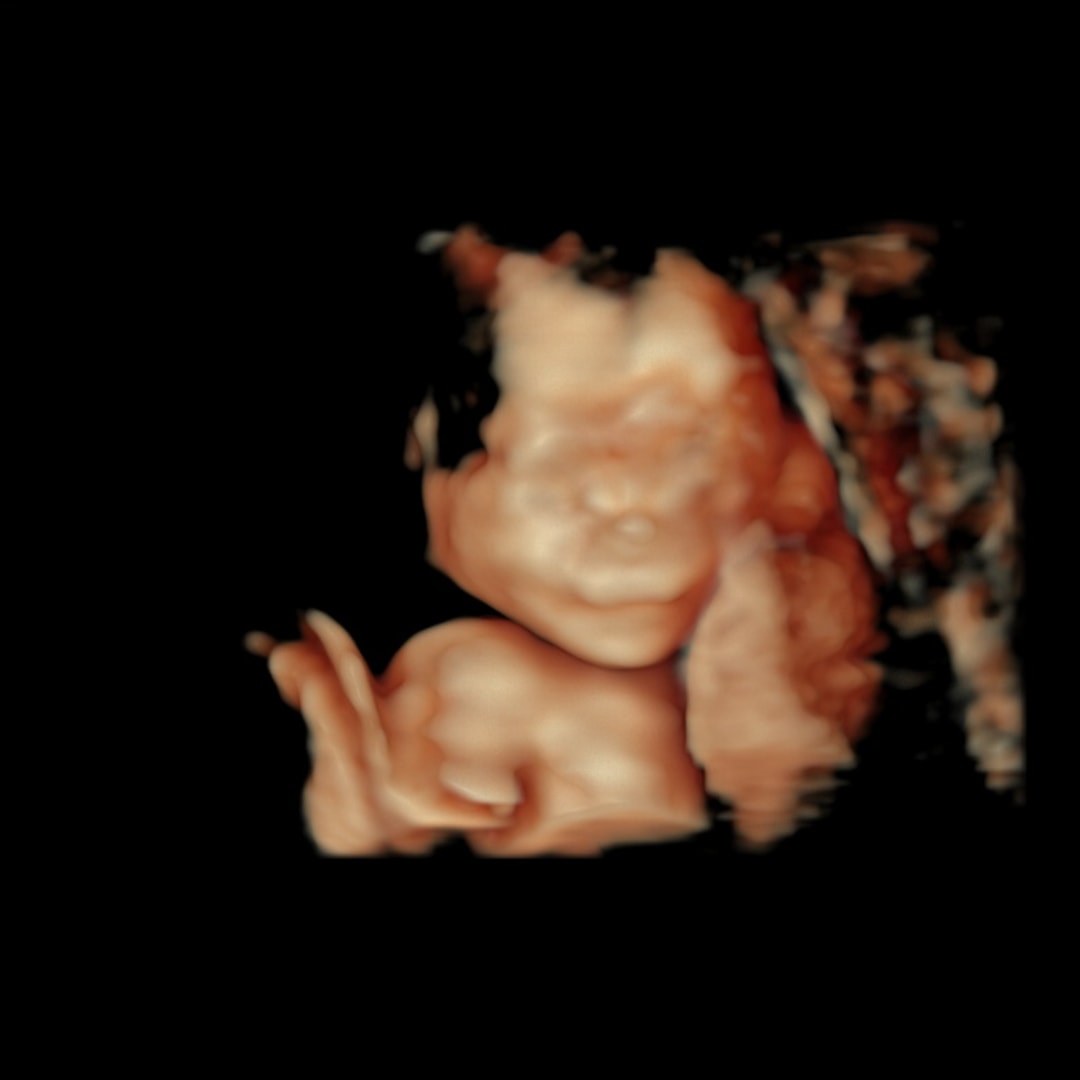Photo shared by Fatima for their Babylist baby registry.