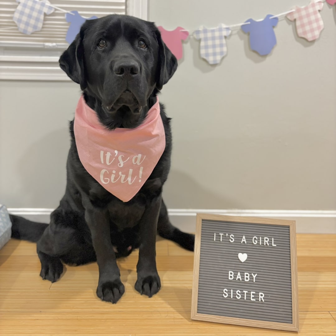 Photo shared by Danielle for their Babylist baby registry.