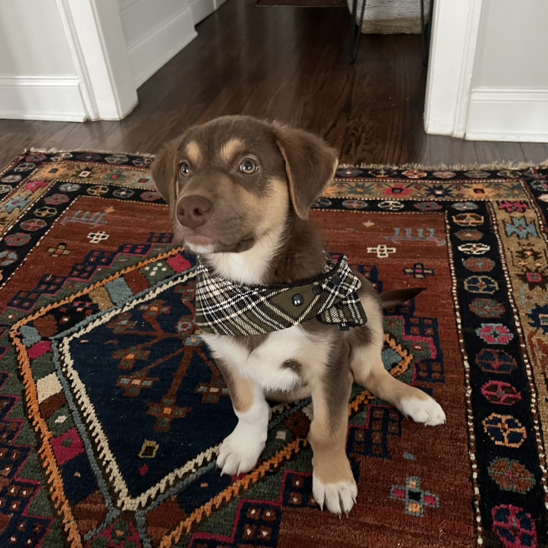 Photo shared by Catherine for their Babylist baby registry.