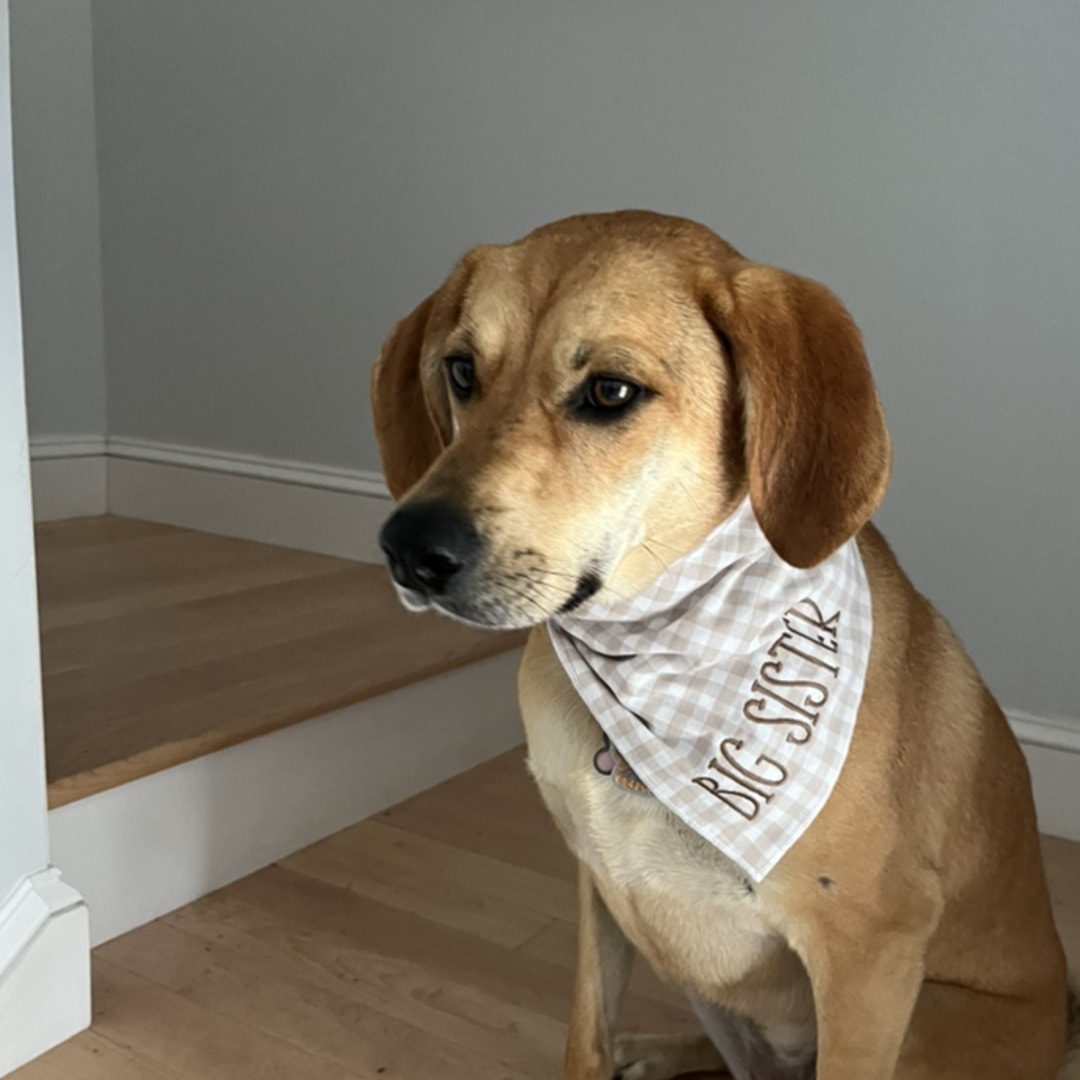 Photo shared by Jessica for their Babylist baby registry.