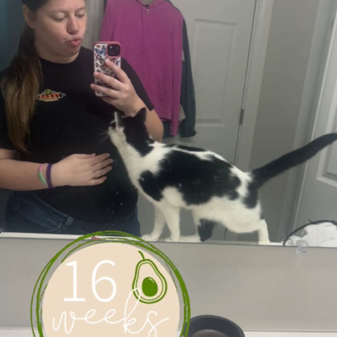 Photo shared by Elise for their Babylist baby registry.